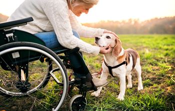Pet friendly community